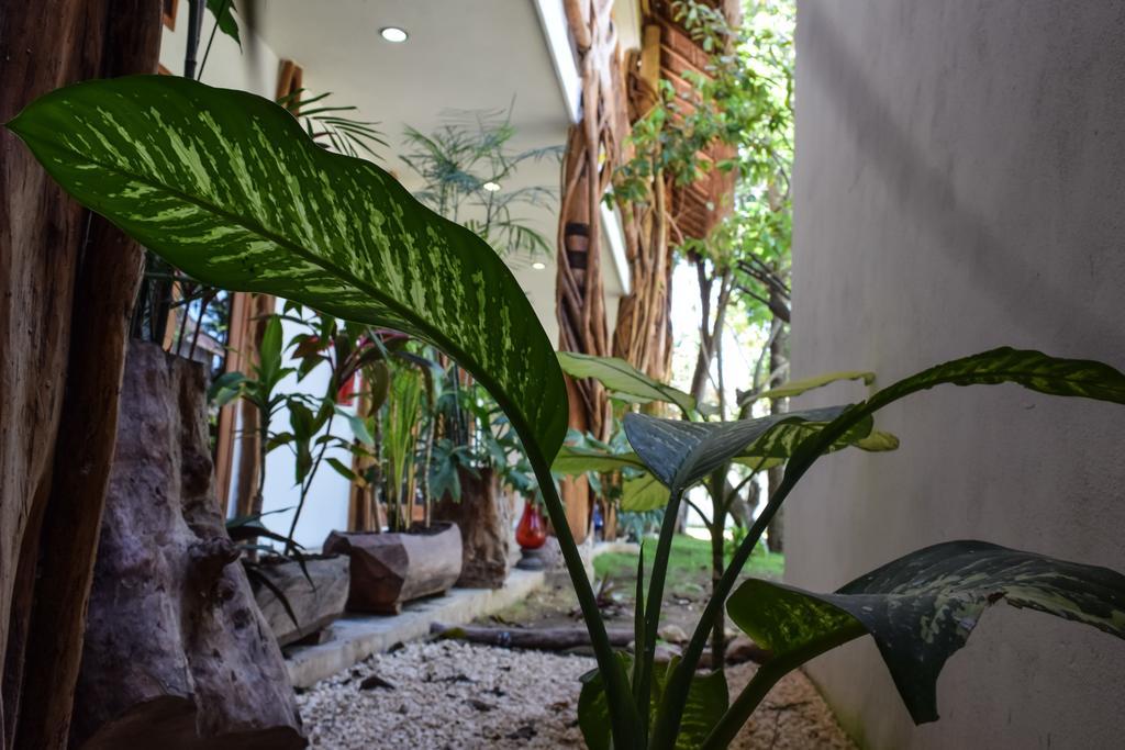 Hotel Corazon De Jade Tulum Exteriér fotografie